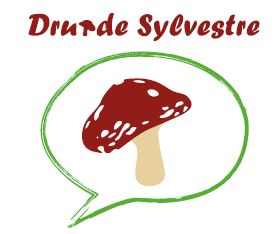 Logo of Druide Sylvestre