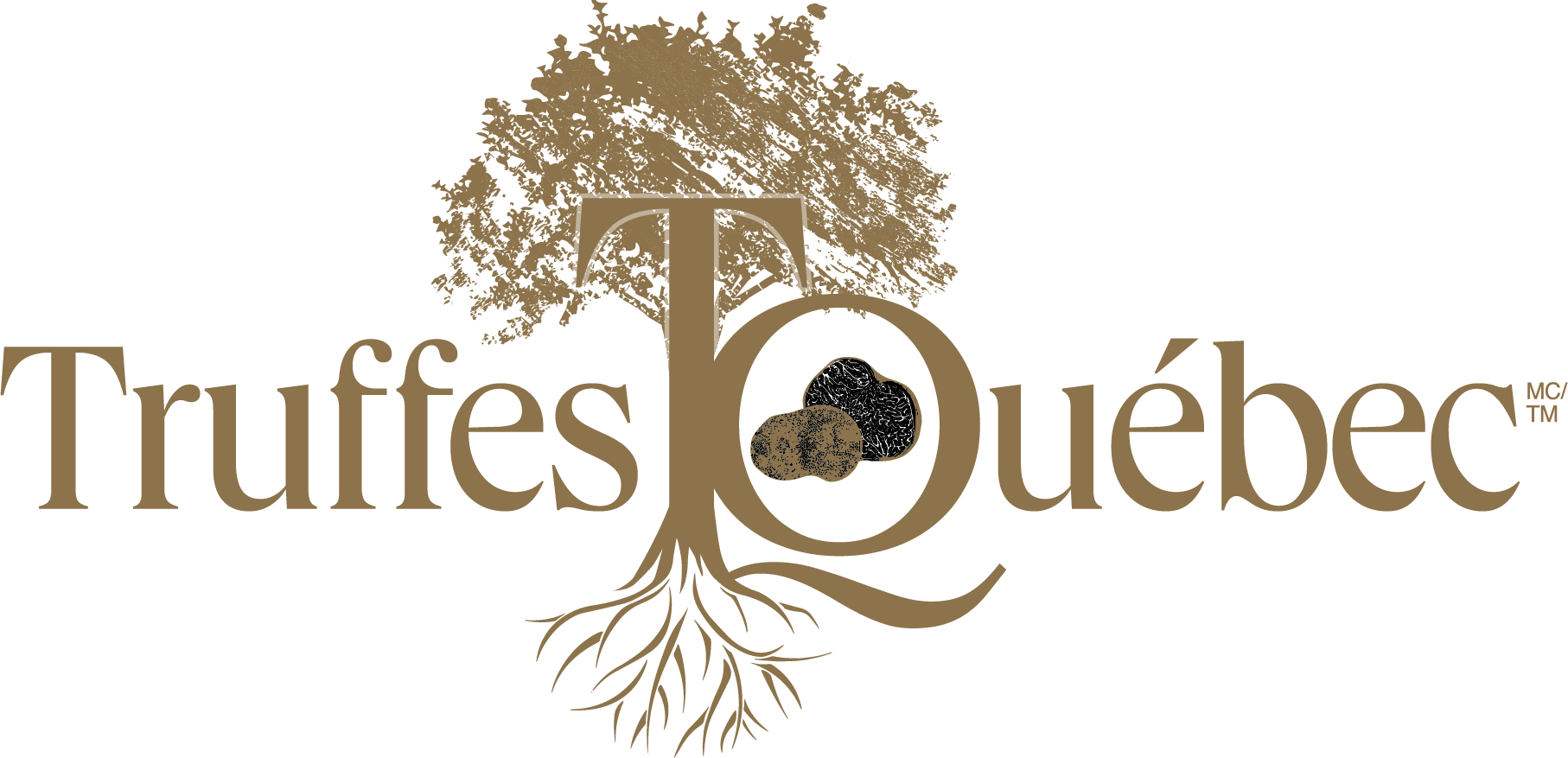 Logo de Truffes Québec