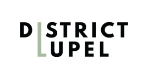 Logo de Distric Lupel