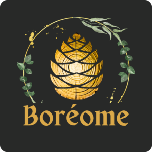 Logo de Boréome