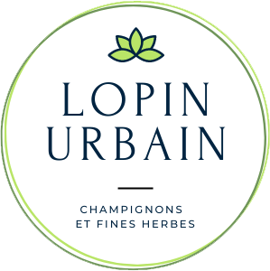 Logo de Lopin Urbain