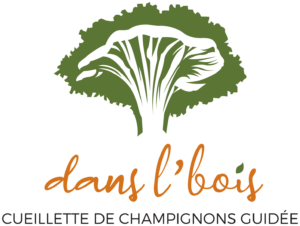 Logo de Dans l'bois