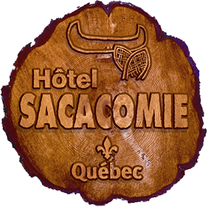 Logo de Hôtel Sacacomie