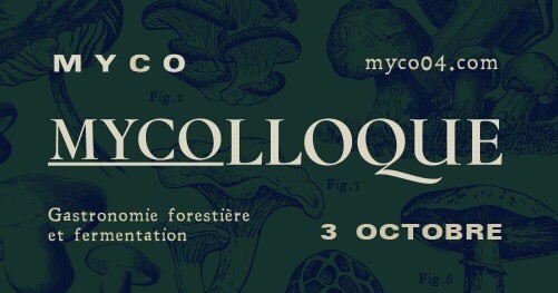 Le top 5 des champignons comestibles selon la mycologue Véronique Cloutier